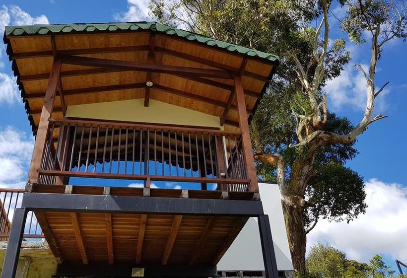 Hotel Naturnia Pesca Y Recreación | Rionegro | Antioquia | Colombia 2