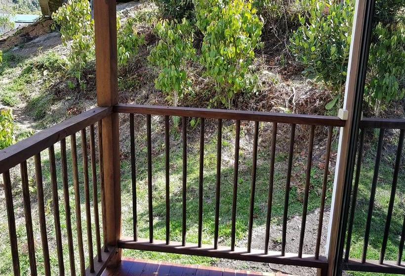 Hotel Naturnia Pesca Y Recreación | Rionegro | Antioquia | Colombia 3