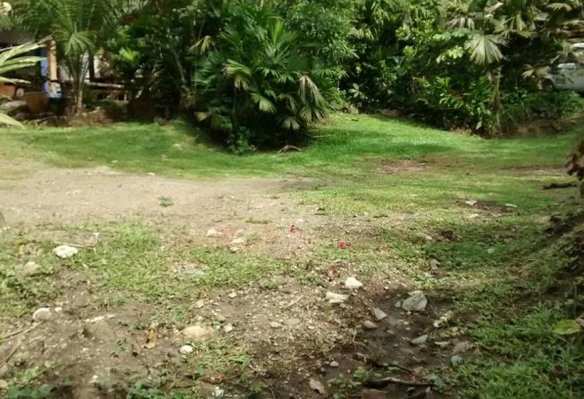 Selvablanca Hostel | San Jerónimo | Antioquia | Colombia 10