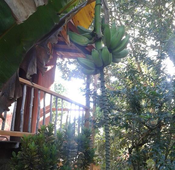 Selvablanca Hostel | San Jerónimo | Antioquia | Colombia 14