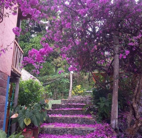 Selvablanca Hostel | San Jerónimo | Antioquia | Colombia 8