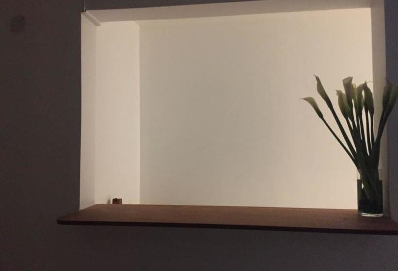 Hotel Musuq Wayra | Chachapoyas | Chachapoyas | Peru 6