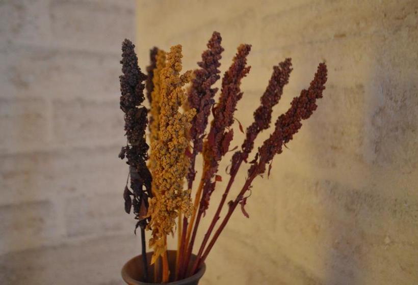 Hotel Jamuy Salt Hostel | Uyuni | Bolivia | América del Sur 12