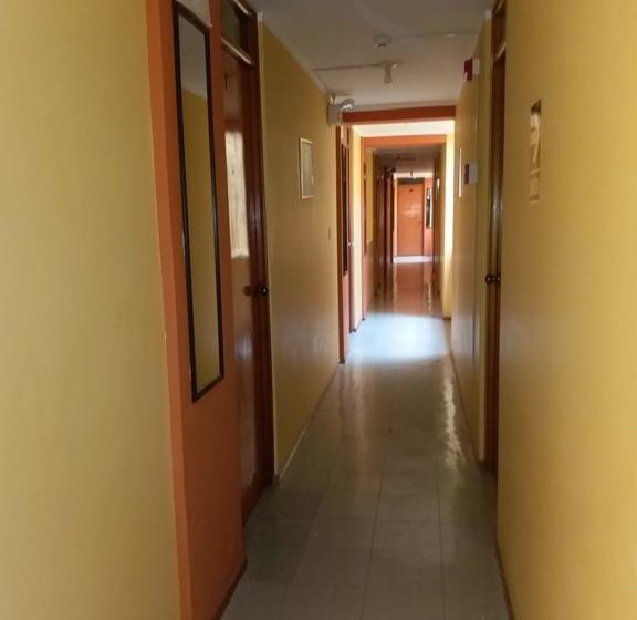 Hotel Hostal Jumi | Tacna | Tacna | Perú 3