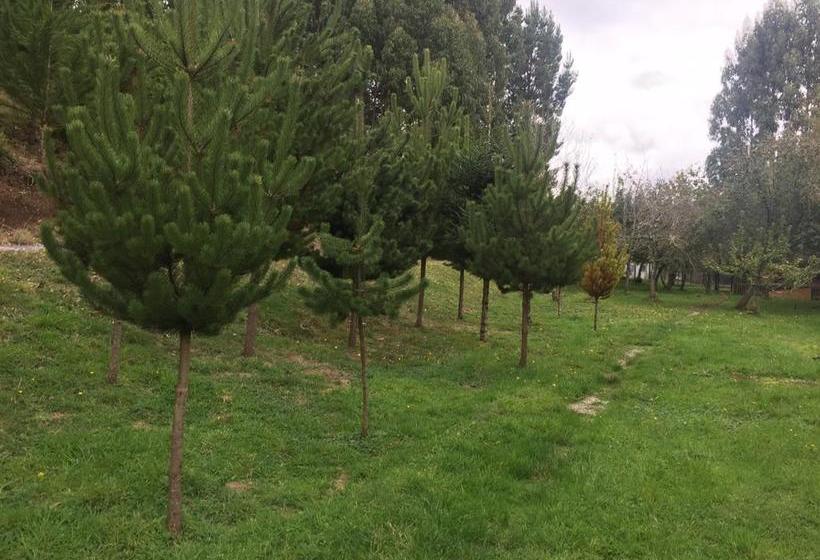 Hotel Terramar | Puerto Montt | Los Lagos | Chile 1