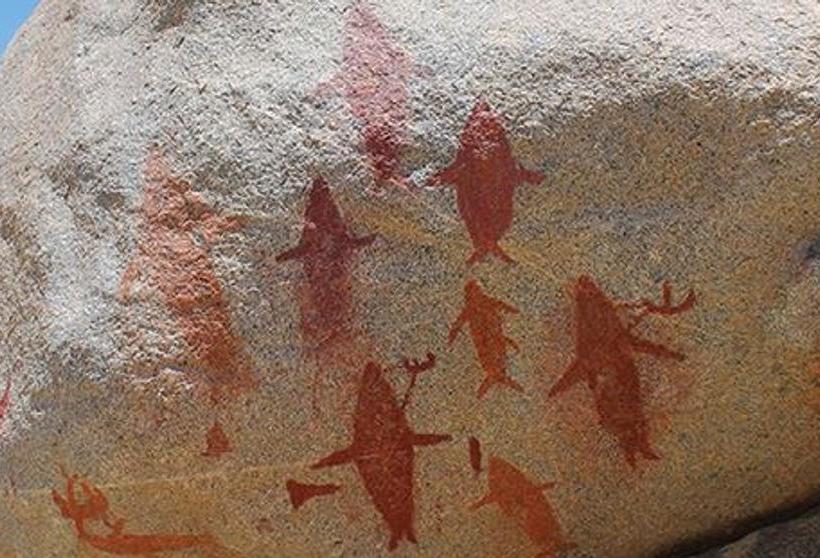 Hotel Mi Tampi Taltal | Taltal | Antofagasta | Chile 17