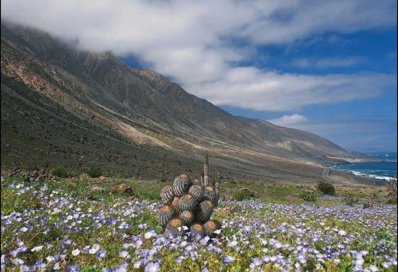 Hotel Mi Tampi Taltal | Taltal | Antofagasta | Chile 18