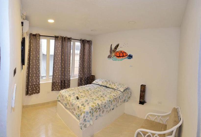 Albergue North Point House | San Andrés | San Andres y Providencia | Colombia 14