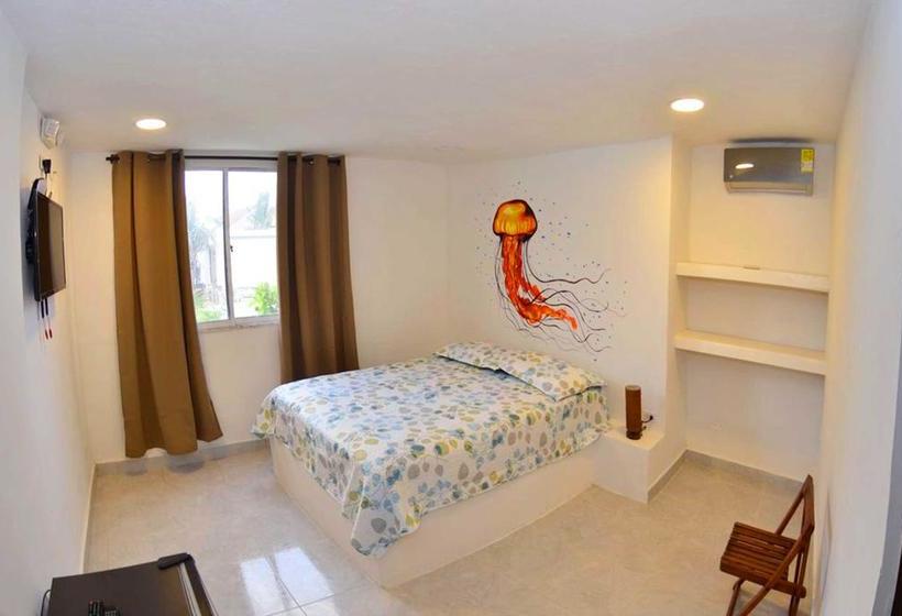 Albergue North Point House | San Andrés | San Andres y Providencia | Colombia 16