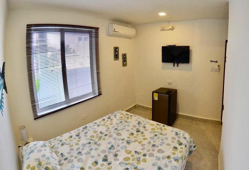 Albergue North Point House | San Andrés | San Andres y Providencia | Colombia 18