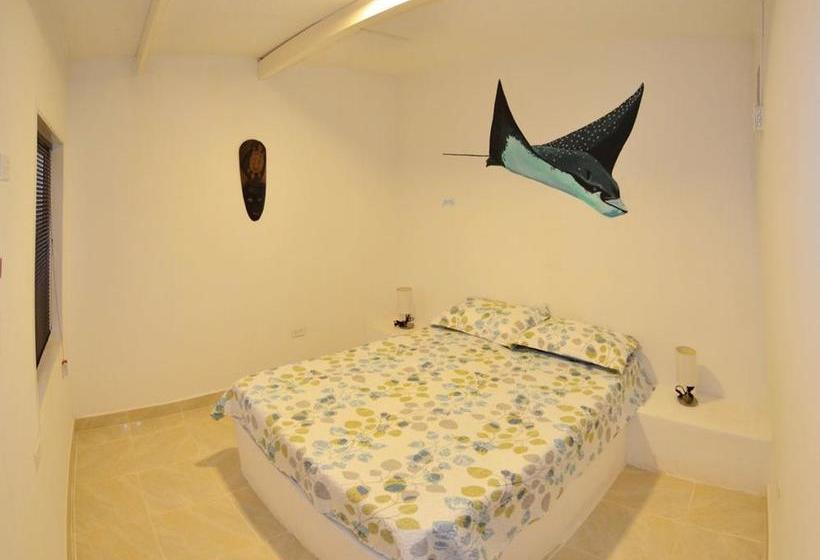 Albergue North Point House | San Andrés | San Andres y Providencia | Colombia 20