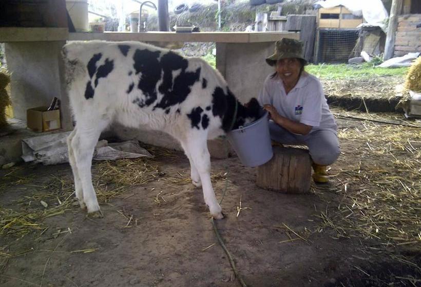 Hotel Hacienda Catacopamba | Cayambe | Pichincha | Ecuador 4