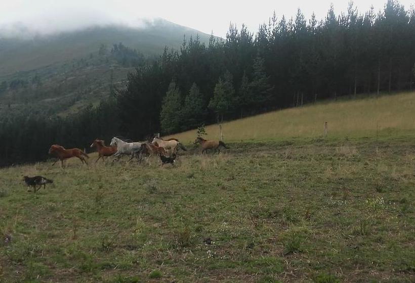 Hotel Hacienda Catacopamba | Cayambe | Pichincha | Ecuador 8