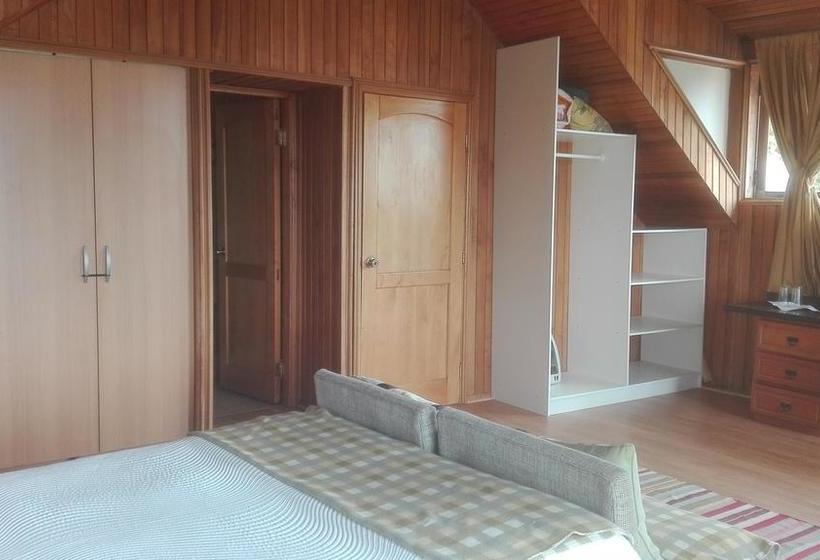 Bed and Breakfast Vista Al Lago Y Volcanes | Puerto Varas | Los Lagos | Chile 11