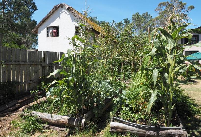 Bed & Breakfast Choclo | La Paloma | Rocha | Uruguay 18