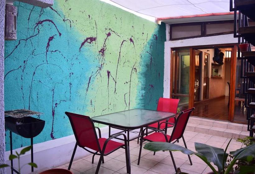 Flora S Hostel Iquique Tarapaca