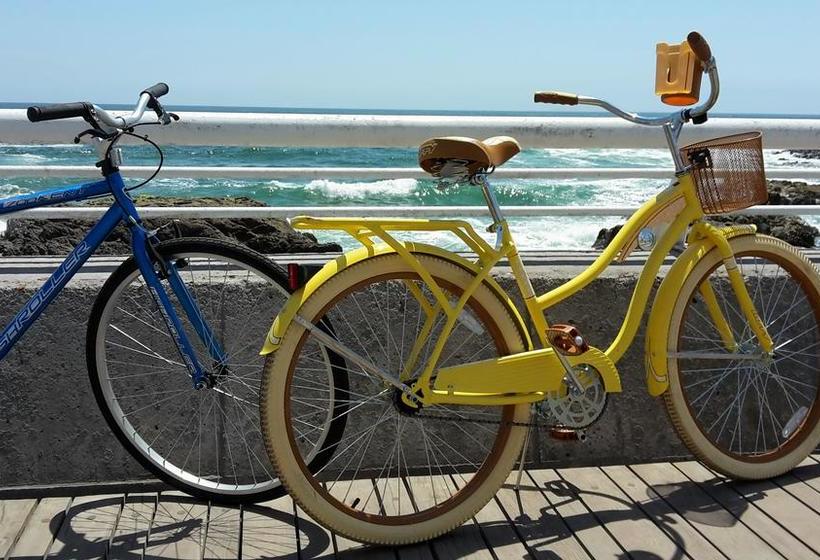 Flora S Hostel | Iquique | Tarapaca | Chile 5