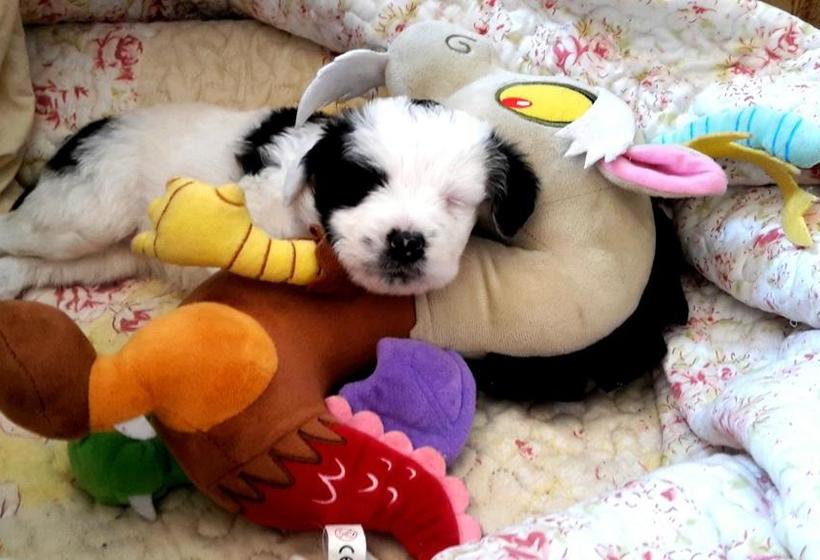 Flora S Hostel | Iquique | Tarapaca | Chile 8