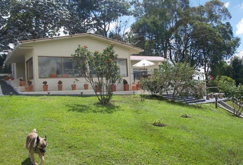 Hotel Montana Guesthouse | Salento | Quindío | Colombia 13