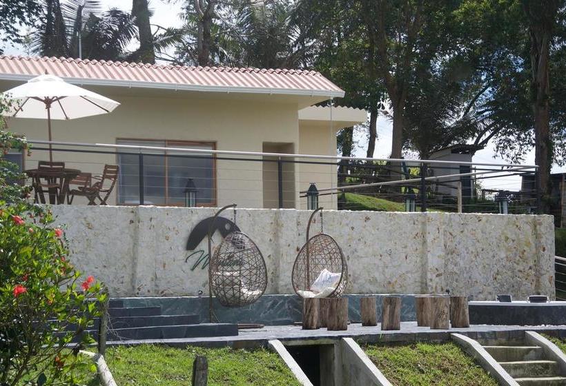 Hotel Montana Guesthouse | Salento | Quindío | Colombia 14