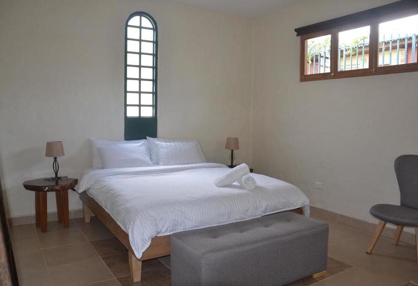 Hotel Montana Guesthouse | Salento | Quindío | Colombia 17