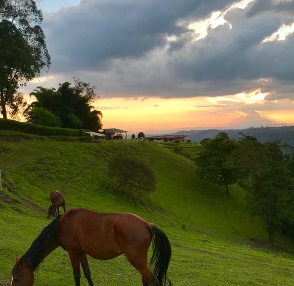 Hotel Montana Guesthouse | Salento | Quindío | Colombia 2