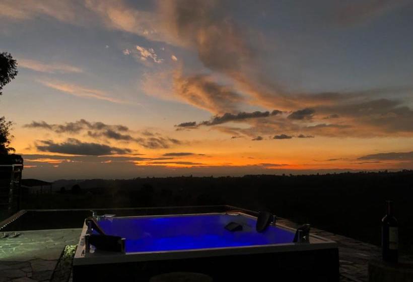 Hotel Montana Guesthouse | Salento | Quindío | Colombia 5