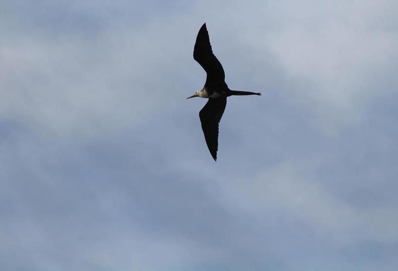 Hotel Cabañas Don Jose | Coveñas | Sucre | Colombia 7