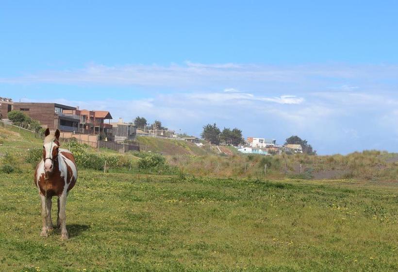 Bed and Breakfast La Mai | Pichilemu | O'Higgins | Chile 9