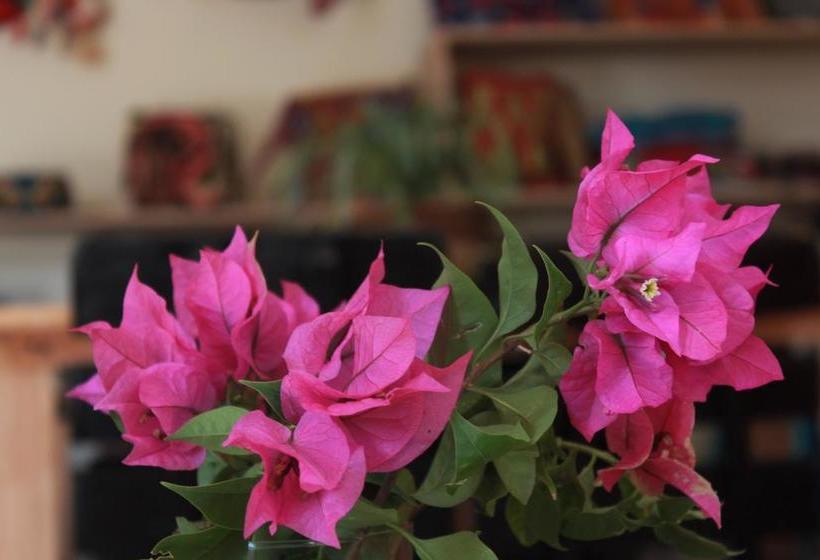 Casaluz B&b | Riohacha | La Guajira | Colombie 7