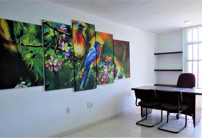 Hotel Portal De La U | Bucaramanga | Santander | Colombia 8