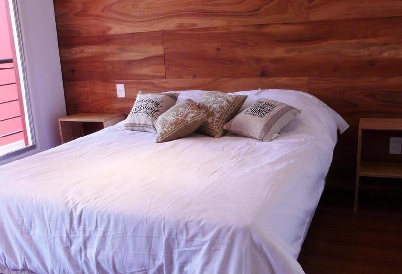 Circus Hostel&hotel Montevideo | Montevideo | Montevideo | Uruguay 10