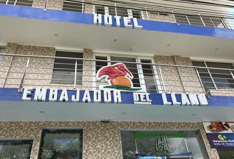 Hotel Embajador Del Llano | Villavicencio | Meta | Colombia 2