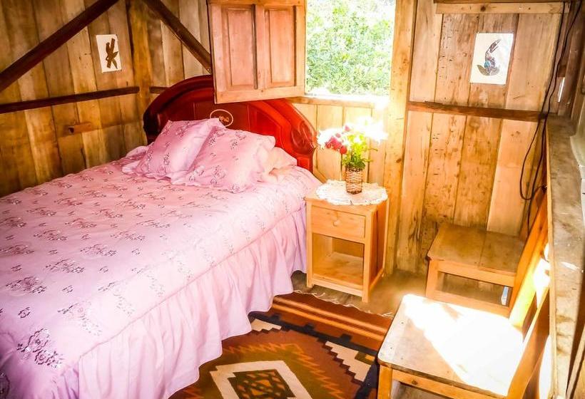 Albergue Cloudforest Adventure Cotacachi - Imbabura Imbabura