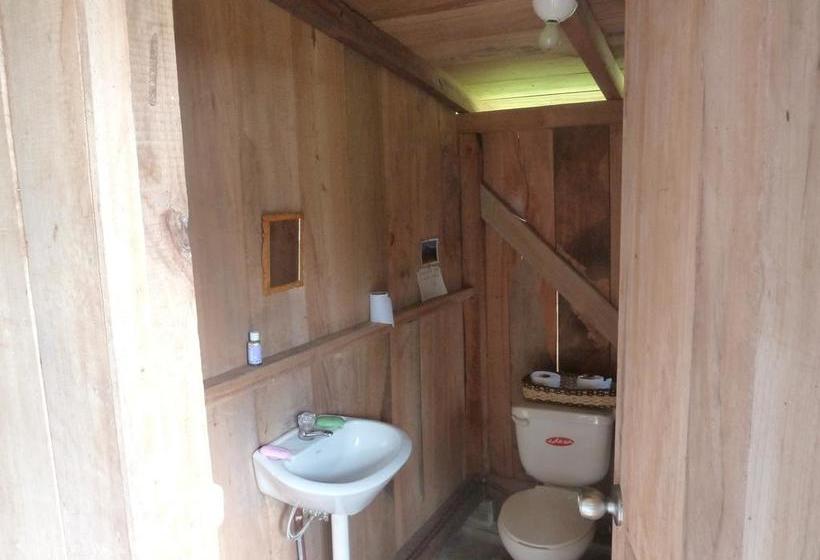 Albergue Cloudforest Adventure | Cotacachi - Imbabura | Imbabura | Ecuador 16