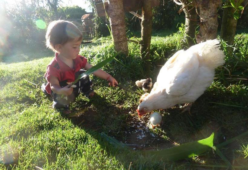 Albergue Cloudforest Adventure | Cotacachi - Imbabura | Imbabura | Ecuador 17
