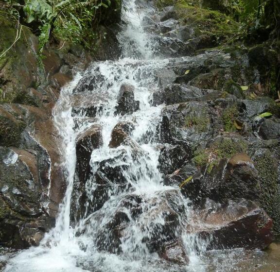 Albergue Cloudforest Adventure | Cotacachi - Imbabura | Imbabura | Ecuador 18