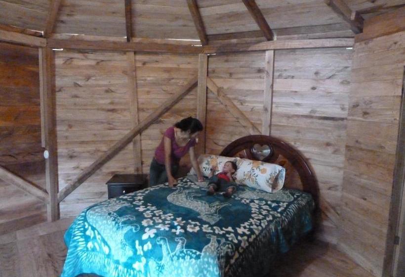 Albergue Cloudforest Adventure | Cotacachi - Imbabura | Imbabura | Ecuador 3