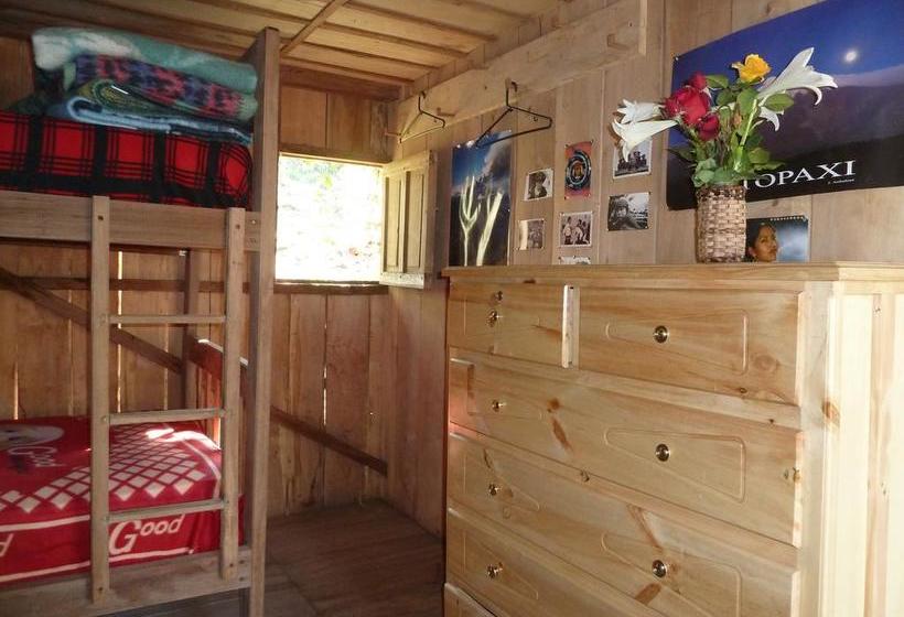 Albergue Cloudforest Adventure | Cotacachi - Imbabura | Imbabura | Ecuador 5