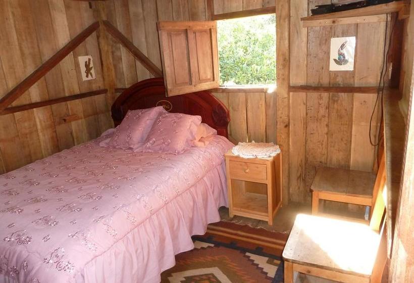 Albergue Cloudforest Adventure | Cotacachi - Imbabura | Imbabura | Ecuador 6