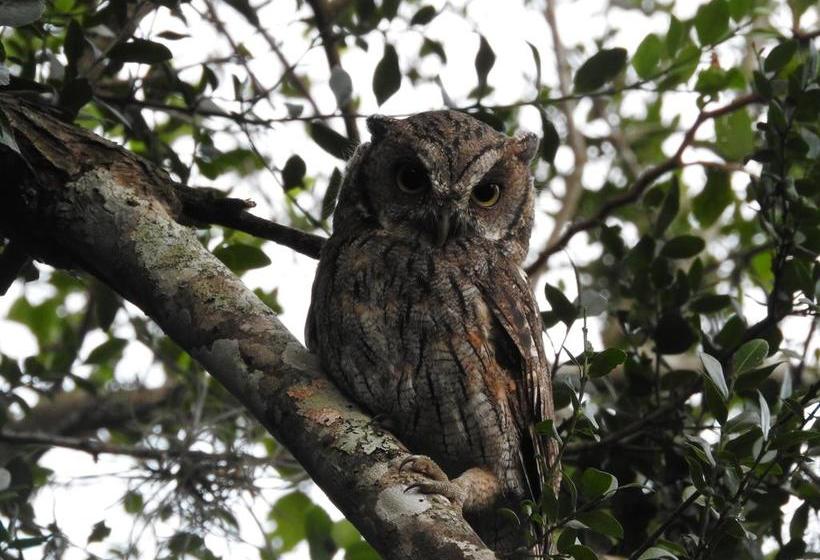 Albergue Paso Centurion Tours | Melo | Cerro Largo | Uruguay 1