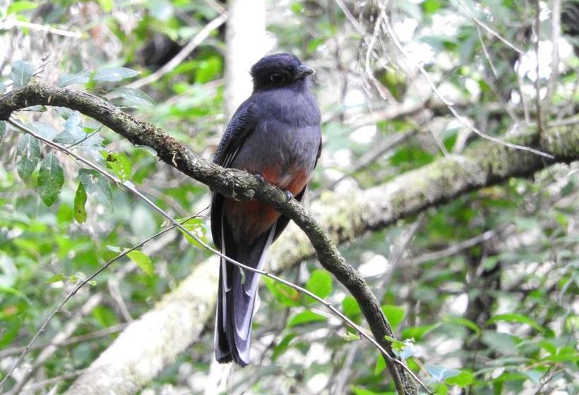 Albergue Paso Centurion Tours | Melo | Cerro Largo | Uruguay 10