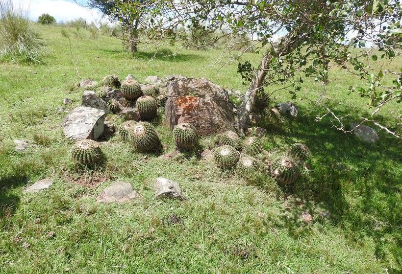 Albergue Paso Centurion Tours | Melo | Cerro Largo | Uruguay 11