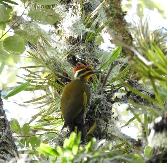 Albergue Paso Centurion Tours | Melo | Cerro Largo | Uruguay 12