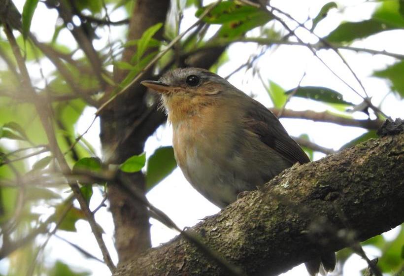 Albergue Paso Centurion Tours | Melo | Cerro Largo | Uruguay 13