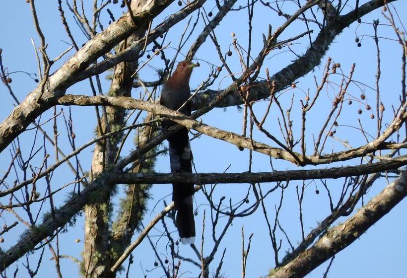 Albergue Paso Centurion Tours | Melo | Cerro Largo | Uruguay 14