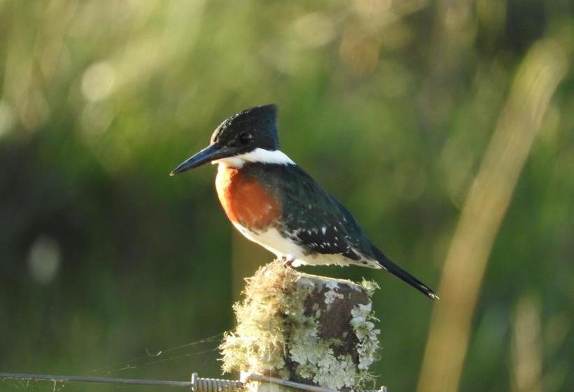 Albergue Paso Centurion Tours | Melo | Cerro Largo | Uruguay 15