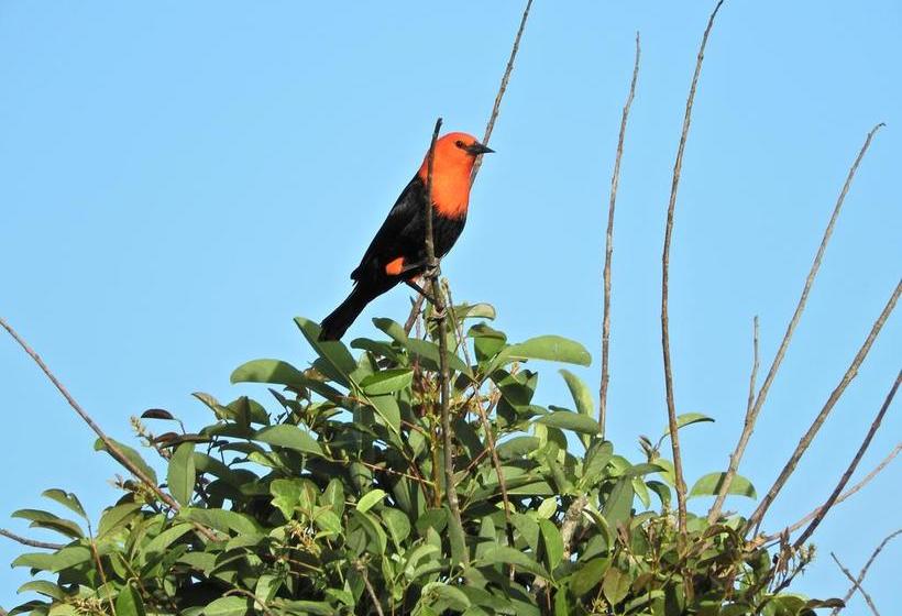 Albergue Paso Centurion Tours | Melo | Cerro Largo | Uruguay 16