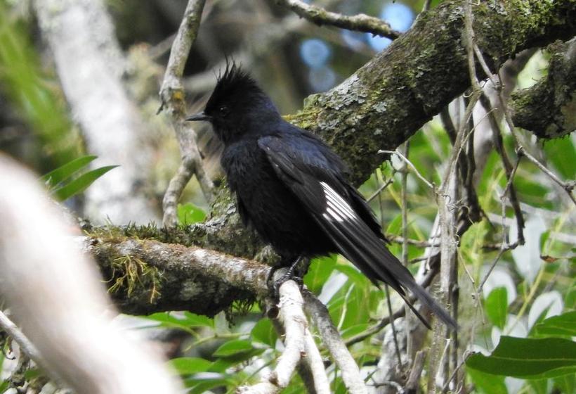 Albergue Paso Centurion Tours | Melo | Cerro Largo | Uruguay 17