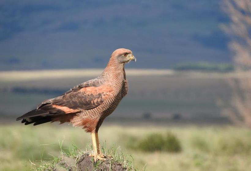 Albergue Paso Centurion Tours | Melo | Cerro Largo | Uruguay 18